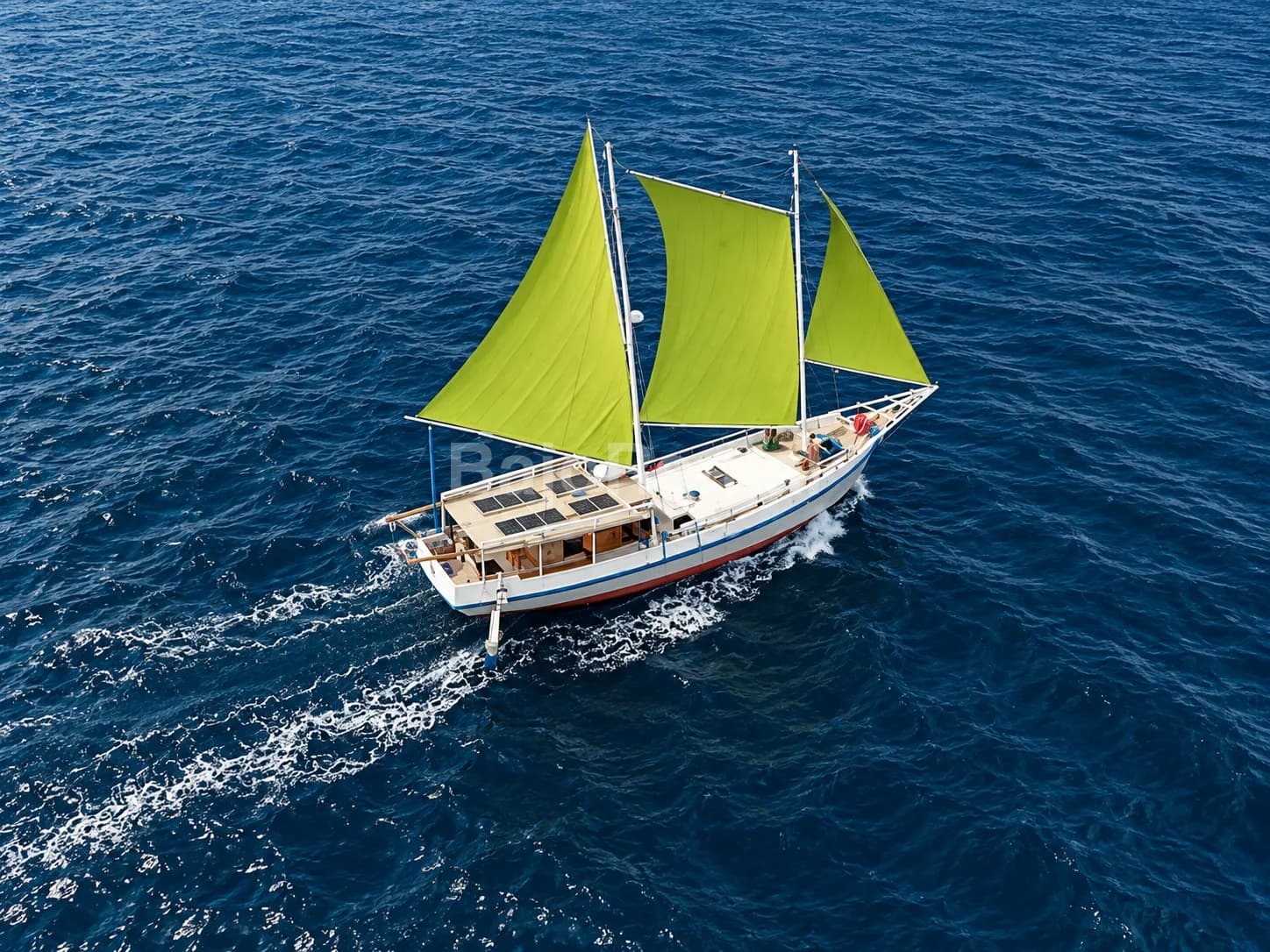 Sabbar Cruise
