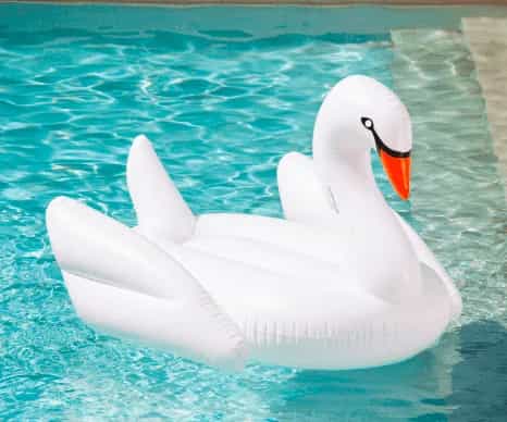 White Swan Floaties thumbnail 3