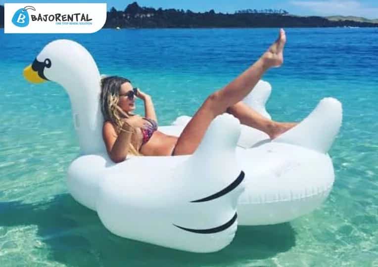 White Swan Floaties thumbnail 2