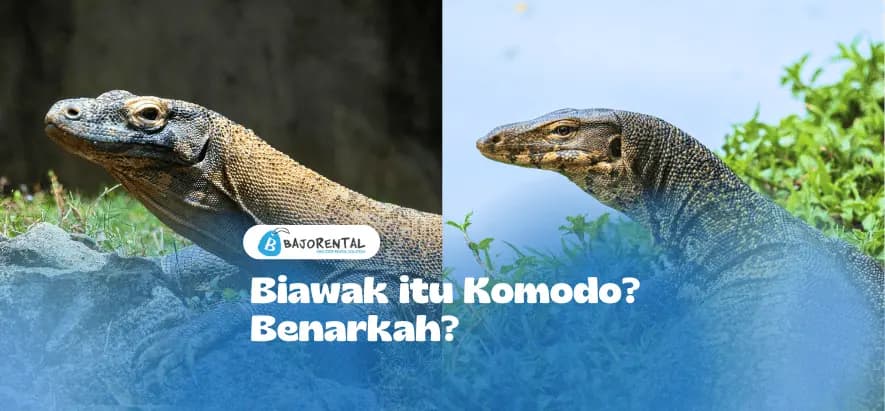 Komodo vs Monitor Lizard: Key Differences Explained