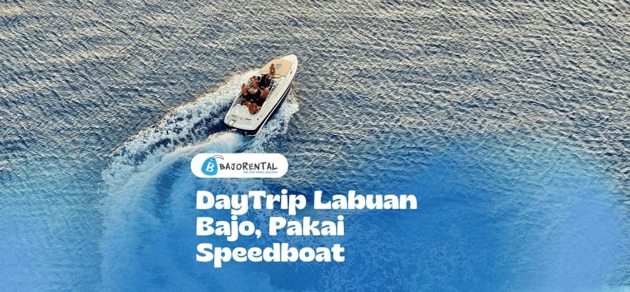 Labuan Bajo Speedboat Day Trip: Islands in One Day