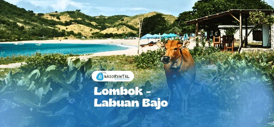 How to Get from Lombok to Labuan Bajo: Routes & Budget