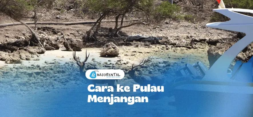 How to Get to Menjangan Island from Bali: Routes & Budget Guide
