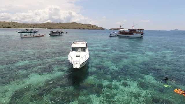 Malao thumbnail 1