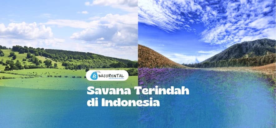 Indonesia's Most Beautiful Savannas: Hidden Gems in NTT You Must Visit