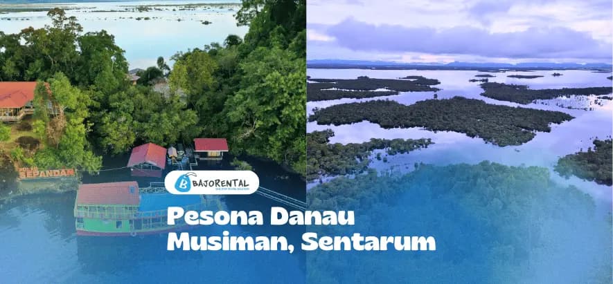Lake Sentarum: Borneo's Magical Seasonal Lake
