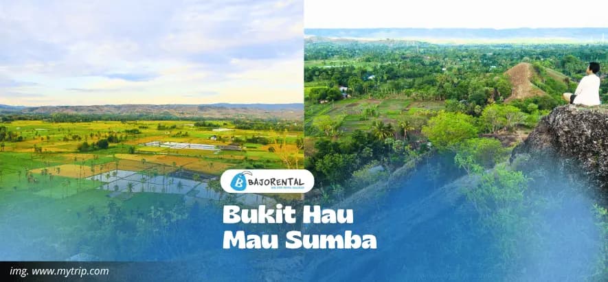 Mau Hau Brotherhood Hill in Sumba: A Hidden Gem Worth Visiting